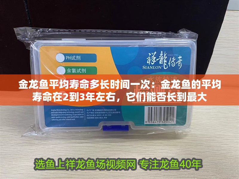 金龍魚平均壽命多長時間一次：金龍魚的平均壽命在2到3年左右，它們能否長到最大