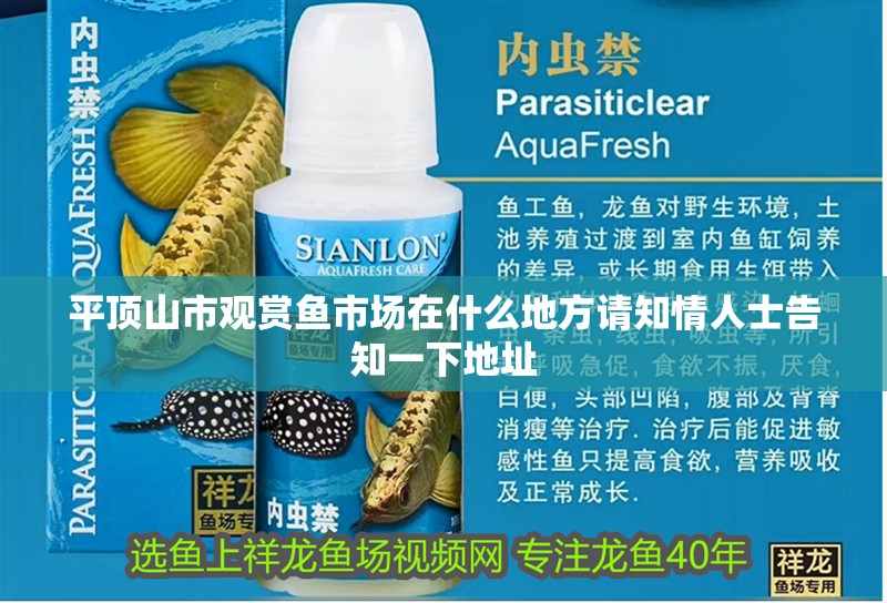 平頂山市觀賞魚(yú)市場(chǎng)在什么地方請(qǐng)知情人士告知一下地址