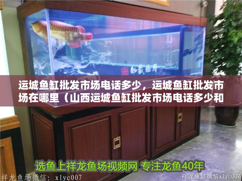 運城魚缸批發市場電話多少，運城魚缸批發市場在哪里（山西運城魚缸批發市場電話多少和運城魚缸批發市場電話多少）