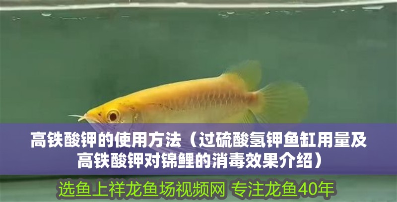 高鐵酸鉀的使用方法（過硫酸氫鉀魚缸用量及高鐵酸鉀對錦鯉的消毒效果介紹）