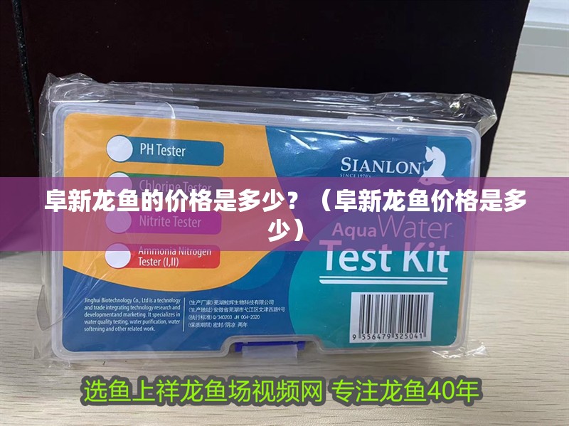 阜新龍魚的價格是多少？（阜新龍魚價格是多少）