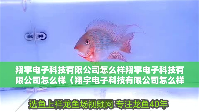 翔宇電子科技有限公司怎么樣翔宇電子科技有限公司怎么樣（翔宇電子科技有限公司怎么樣）