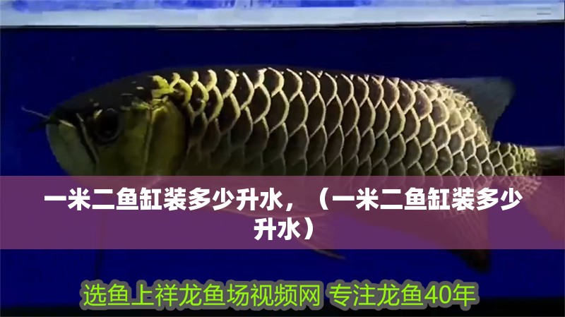 一米二魚缸裝多少升水，（一米二魚缸裝多少升水）