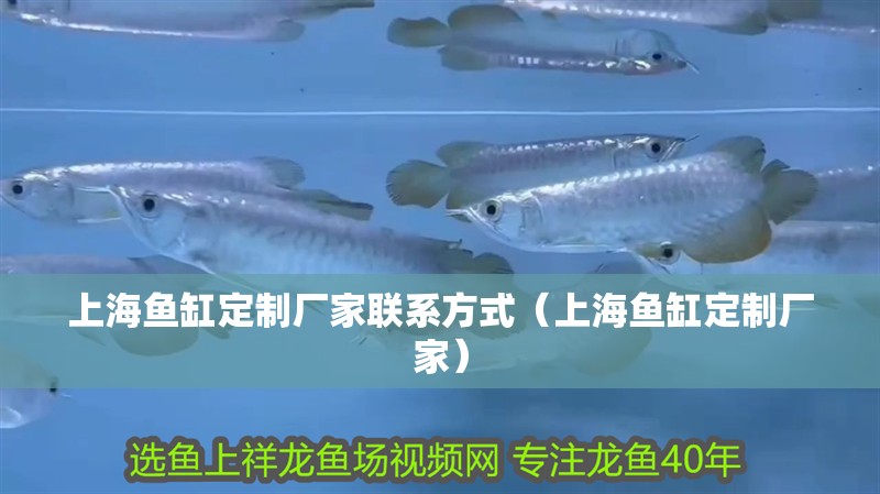 <strong><mark>上海</mark></strong>魚(yú)缸定制廠家聯(lián)系方式（<strong><mark>上海</mark></strong>魚(yú)缸定制廠家）