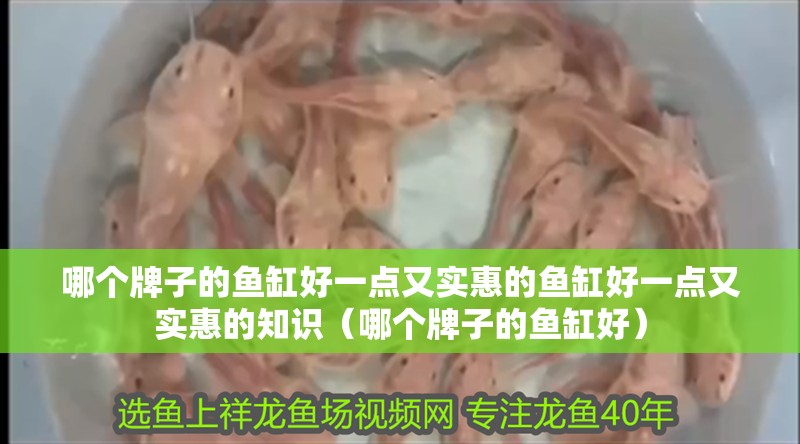 哪個牌子的魚缸好一點又實惠的魚缸好一點又實惠的知識（哪個牌子的魚缸好）