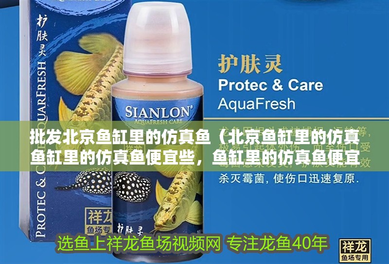 批發<strong><mark>北京</mark></strong>魚缸里的仿真魚（<strong><mark>北京</mark></strong>魚缸里的仿真魚缸里的仿真魚便宜些，魚缸里的仿真魚便宜些）