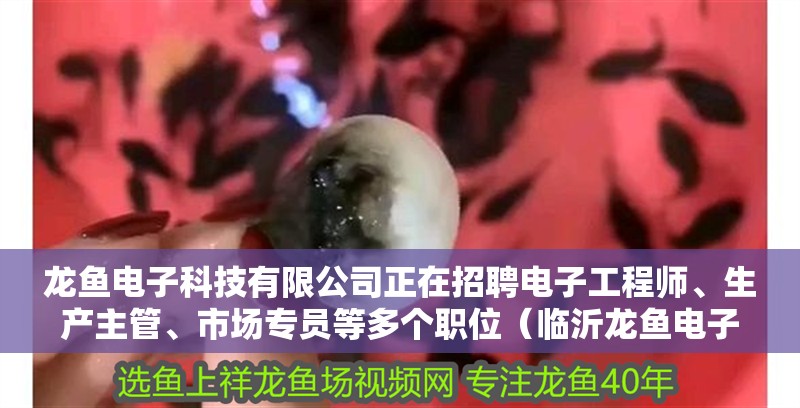 龍魚電子科技有限公司正在招聘電子工程師、生產主管、市場專員等多個職位（臨沂龍魚電子科技有限公司招聘電話）