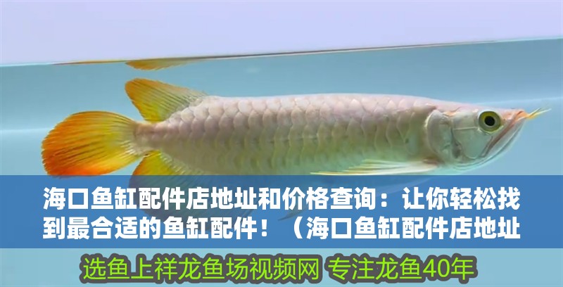 海口魚缸配件店地址和價格查詢：讓你輕松找到最合適的魚缸配件！（海口魚缸配件店地址和價格查詢）