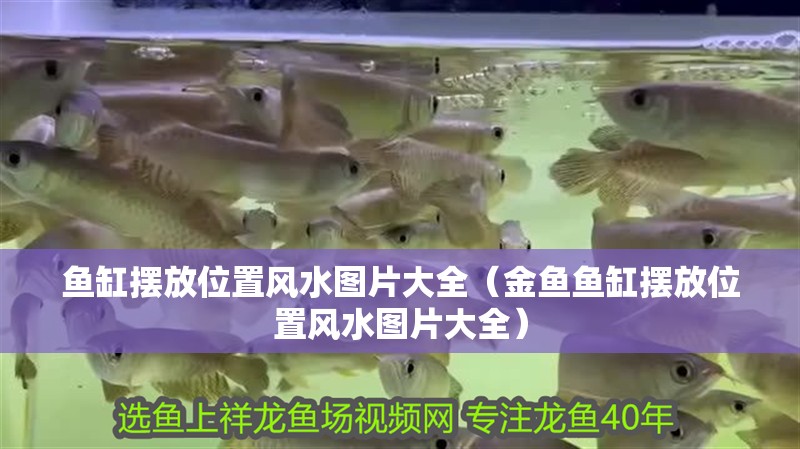 魚缸擺放位置風水圖片大全(金魚魚缸擺放位置風水圖片大全)