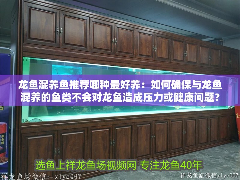 龍魚混養魚推薦哪種最好養：如何確保與龍魚混養的魚類不會對龍魚造成壓力或健康問題？