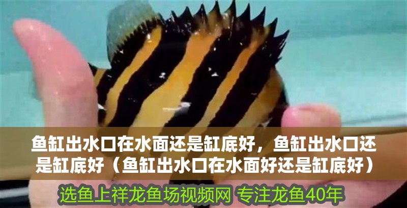 魚缸出水口在水面還是缸底好，魚缸出水口還是缸底好（魚缸出水口在水面好還是缸底好）