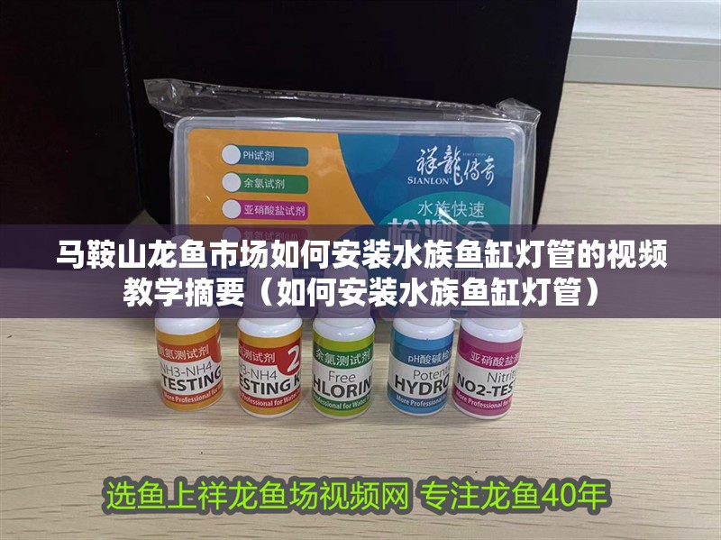 馬鞍山龍魚(yú)市場(chǎng)如何安裝水族魚(yú)缸燈管的視頻教學(xué)摘要（如何安裝水族魚(yú)缸燈管）