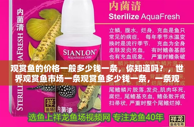 觀賞魚的價格一般多少錢一條，你知道嗎？，世界觀賞魚市場一條觀賞魚多少錢一條，一條觀賞魚多少錢一條