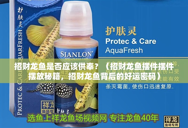 招財龍魚是否應該供奉？（招財龍魚擺件擺件擺放秘籍，招財龍魚背后的好運密碼）