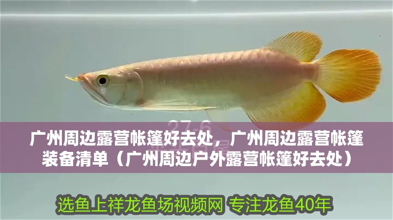 廣州周邊露營(yíng)帳篷好去處，廣州周邊露營(yíng)帳篷裝備清單（廣州周邊戶外露營(yíng)帳篷好去處）