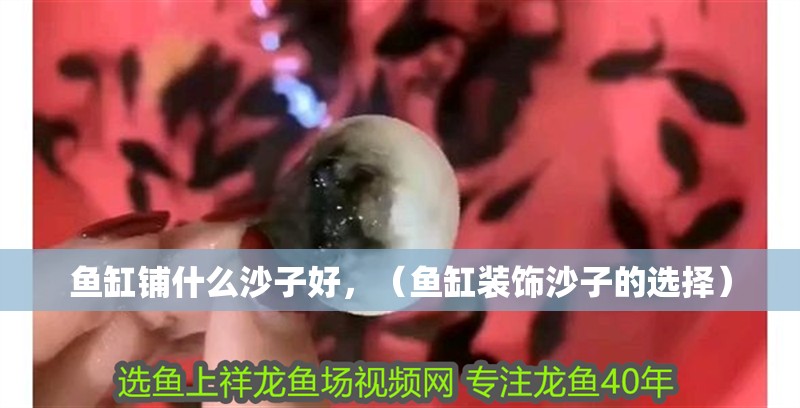 魚缸鋪什么沙子好，（魚缸裝飾沙子的選擇）