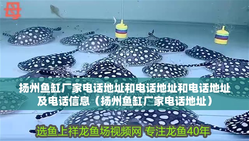 揚(yáng)州魚缸廠家電話地址和電話地址和電話地址及電話信息(揚(yáng)州魚缸廠家電話地址) 觀賞魚百科 第2張 揚(yáng)州魚缸廠家電話地址和電話地址和電話地址及電話信息(揚(yáng)州魚缸廠家電話地址) 揚(yáng)州魚缸廠家電話地址和電話地址和電話地址及電話信息(揚(yáng)州魚缸廠家電話地址) 觀賞魚百科 第2張