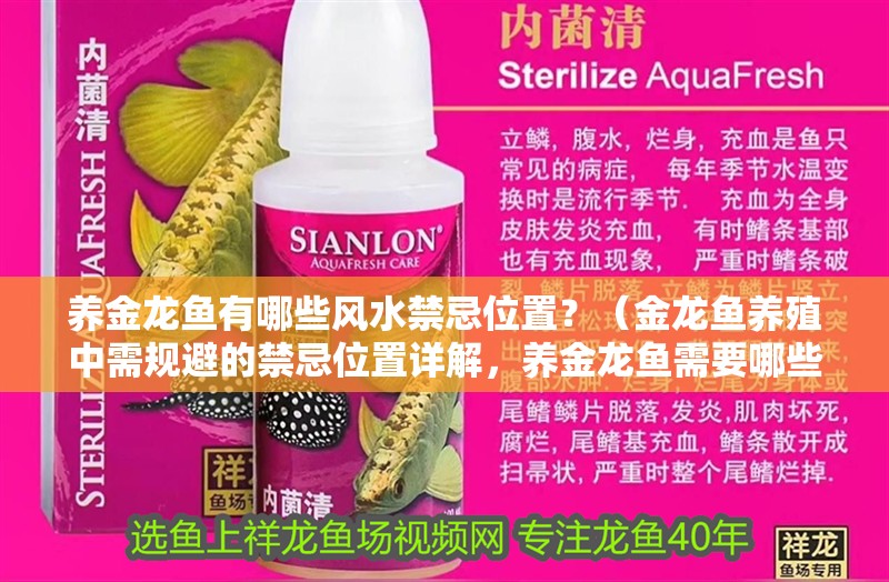 養金龍魚有哪些風水禁忌位置？（金龍魚養殖中需規避的禁忌位置詳解，養金龍魚需要哪些設備）