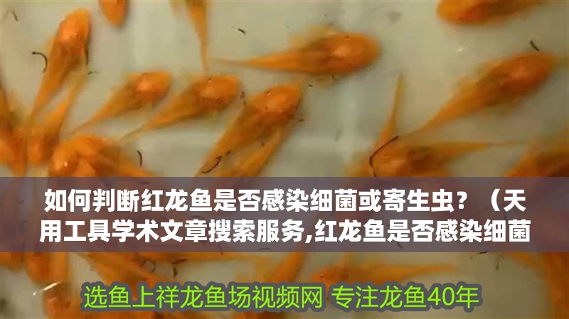 如何判斷紅龍魚(yú)是否感染細(xì)菌或寄生蟲(chóng)？（天用工具學(xué)術(shù)文章搜索服務(wù),紅龍魚(yú)是否感染細(xì)菌或寄生蟲(chóng)）
