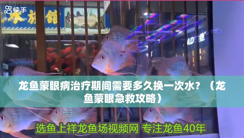 龍魚蒙眼病治療期間需要多久換一次水？（龍魚蒙眼急救攻略）