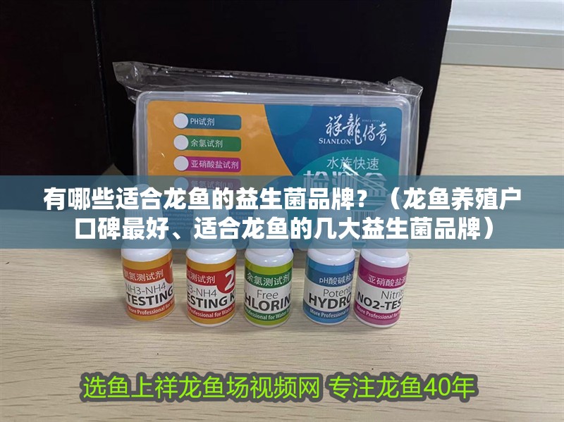 有哪些適合龍魚的益生菌品牌？（龍魚養殖戶口碑最好、適合龍魚的幾大益生菌品牌）