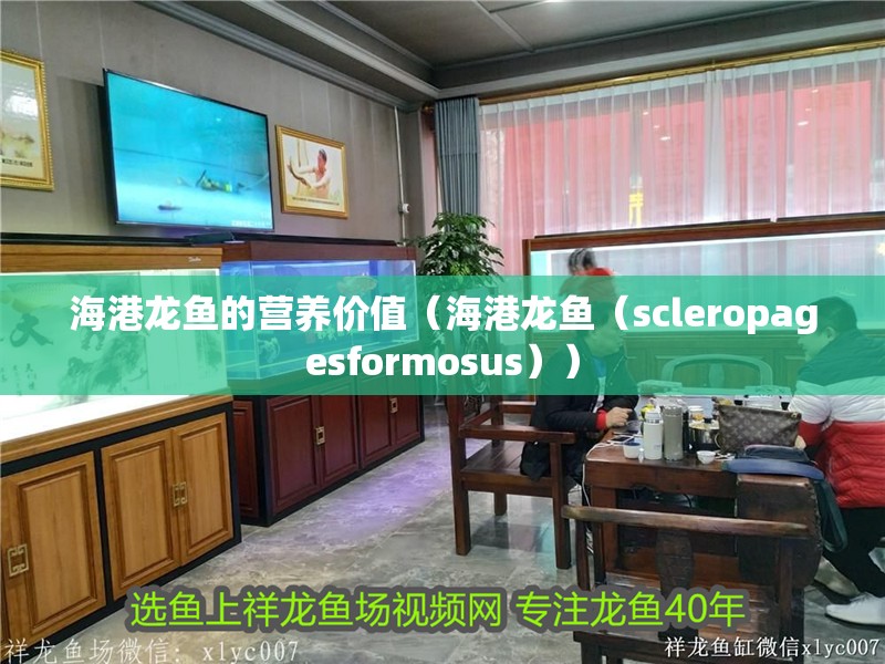 海港龍魚的營養價值（海港龍魚（scleropagesformosus））