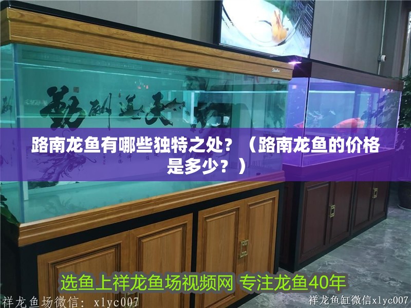 路南龍魚有哪些獨特之處？（路南龍魚的價格是多少？）