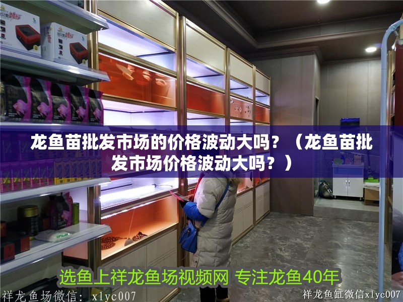 龍魚苗批發(fā)市場的價格波動大嗎？（龍魚苗批發(fā)市場價格波動大嗎？）
