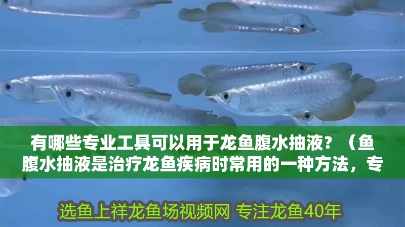 有哪些專業(yè)工具可以用于龍魚腹水抽液？（魚腹水抽液是治療龍魚疾病時(shí)常用的一種方法，專業(yè)工具抽取腹水）