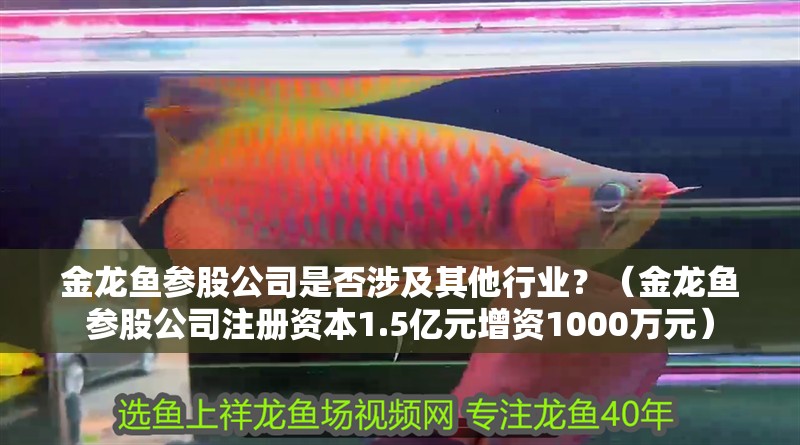 金龍魚參股公司是否涉及其他行業(yè)？（金龍魚參股公司注冊(cè)資本1.5億元增資1000萬元）