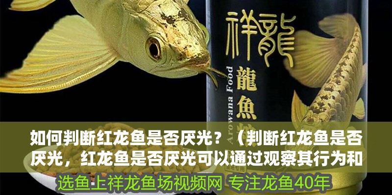 如何判斷紅龍魚是否厭光？（判斷紅龍魚是否厭光，紅龍魚是否厭光可以通過觀察其行為和生理反應來進行）