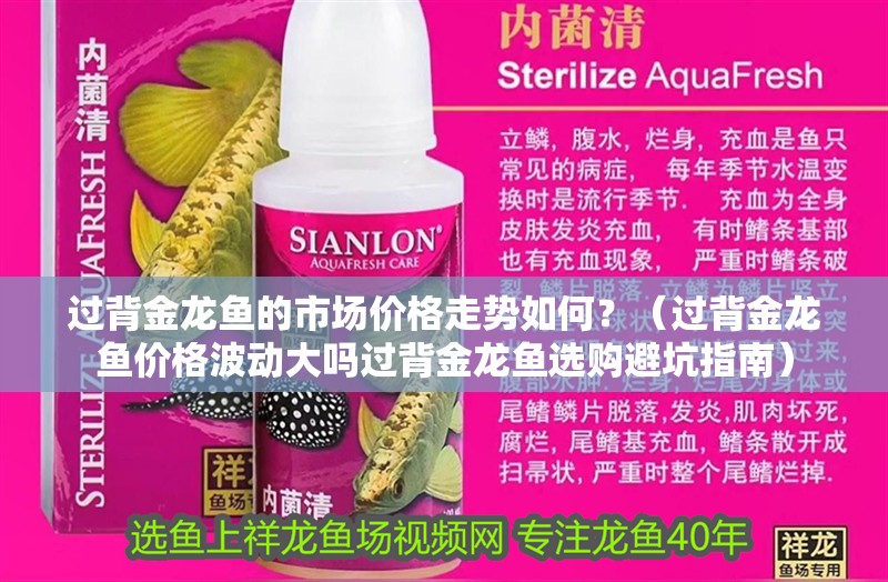 過背金龍魚的市場價格走勢如何？（過背金龍魚價格波動大嗎過背金龍魚選購避坑指南）