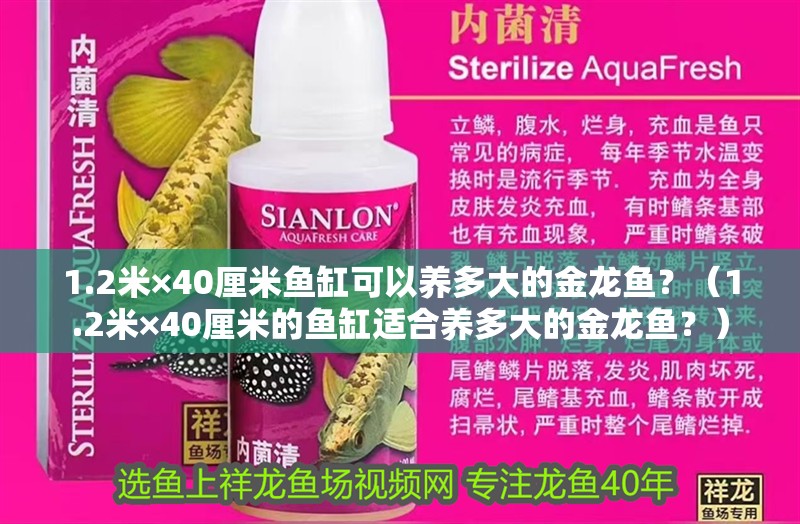 1.2米×40厘米魚缸可以養多大的金龍魚？（1.2米×40厘米的魚缸適合養多大的金龍魚？）