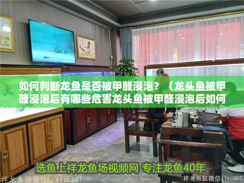 如何判斷龍魚(yú)是否被甲醛浸泡？（龍頭魚(yú)被甲醛浸泡后有哪些危害龍頭魚(yú)被甲醛浸泡后如何烹飪） 如何判斷龍魚(yú)是否被甲醛浸泡？（龍頭魚(yú)被甲醛浸泡后有哪些危害龍頭魚(yú)被甲醛浸泡后如何烹飪） 龍魚(yú)百科 第3張