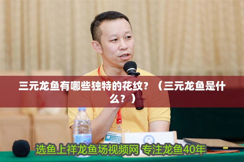三元龍魚有哪些獨特的花紋？（三元龍魚是什么？）