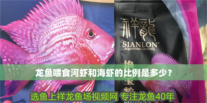 龍魚喂食河蝦和海蝦的比例是多少？