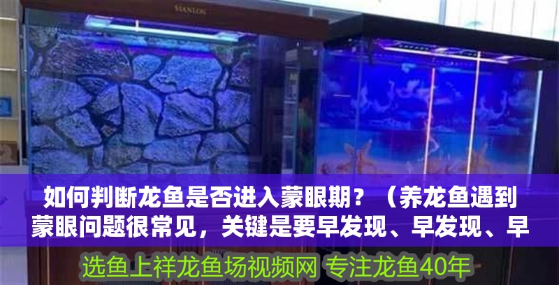 如何判斷龍魚是否進入蒙眼期？（養龍魚遇到蒙眼問題很常見，關鍵是要早發現、早發現、早處理）