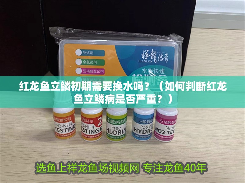 紅龍魚立鱗初期需要換水嗎？（如何判斷紅龍魚立鱗病是否嚴重？）