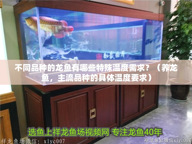 不同品種的龍魚有哪些特殊溫度需求？（養(yǎng)龍魚，主流品種的具體溫度要求）