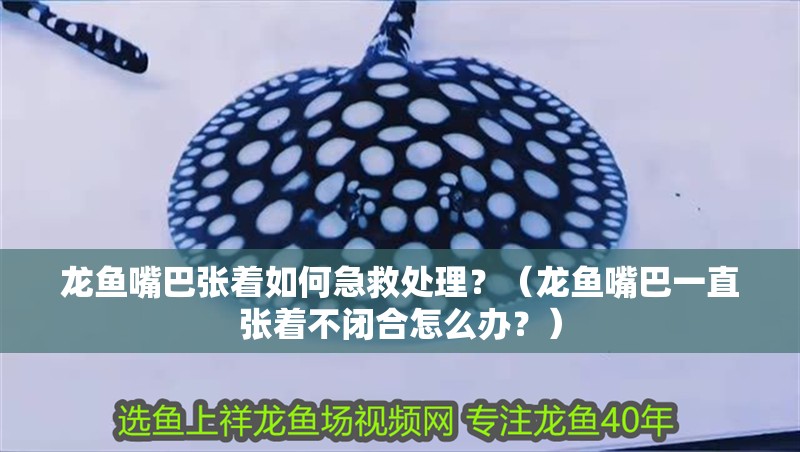龍魚嘴巴張著如何急救處理？（龍魚嘴巴一直張著不閉合怎么辦？）