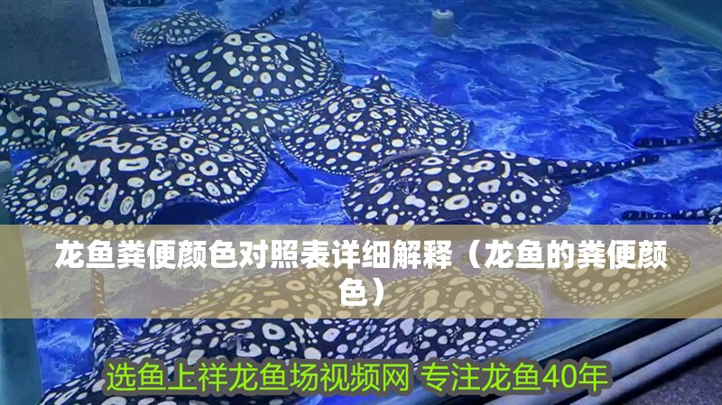 龍魚糞便顏色對照表詳細解釋（龍魚的糞便顏色）