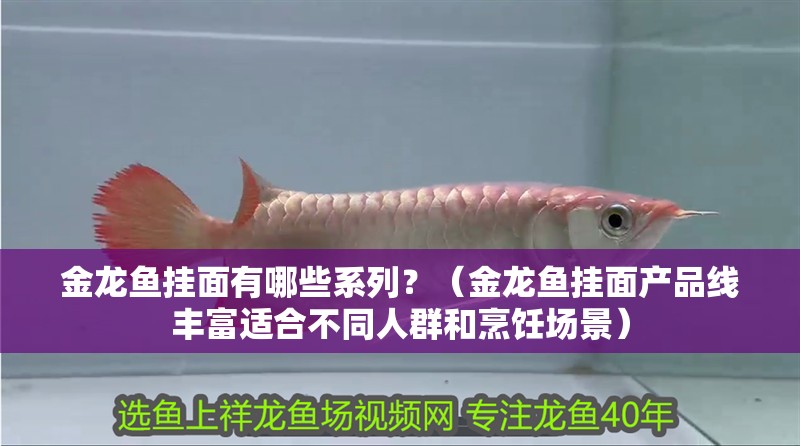 金龍魚掛面有哪些系列？（金龍魚掛面產(chǎn)品線豐富適合不同人群和烹飪場景）
