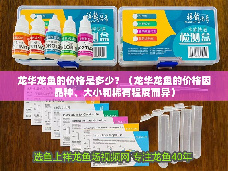 龍華龍魚的價格是多少？（龍華龍魚的價格因品種、大小和稀有程度而異）