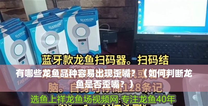 有哪些龍魚品種容易出現歪嘴？（如何判斷龍魚是否歪嘴？）