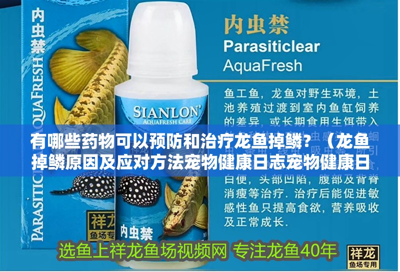 有哪些藥物可以預防和治療龍魚掉鱗？（龍魚掉鱗原因及應對方法寵物健康日志寵物健康日志）