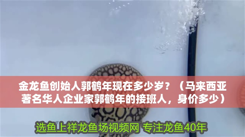 金龍魚創始人郭鶴年現在多少歲？（馬來西亞著名華人企業家郭鶴年的接班人，身價多少）