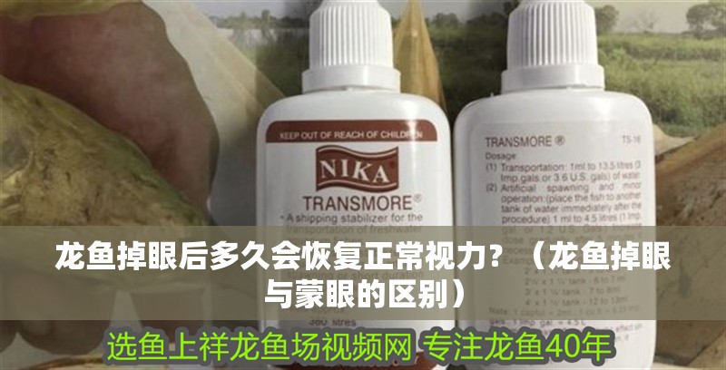 龍魚掉眼后多久會恢復正常視力？（龍魚掉眼與蒙眼的區別）