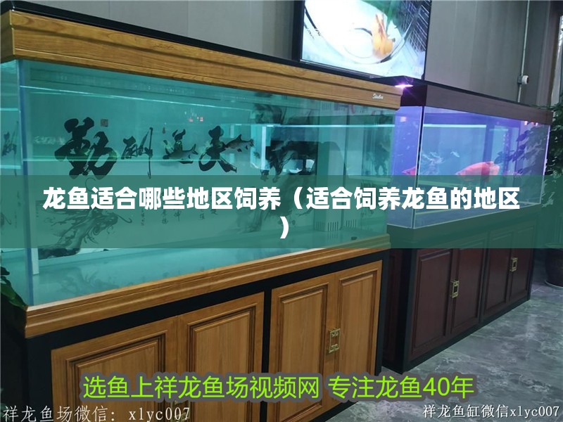龍魚適合哪些地區(qū)飼養(yǎng)（適合飼養(yǎng)龍魚的地區(qū)）
