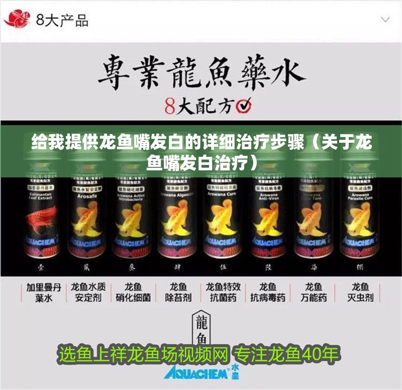 給我提供龍魚嘴發(fā)白的詳細(xì)治療步驟（關(guān)于龍魚嘴發(fā)白治療）