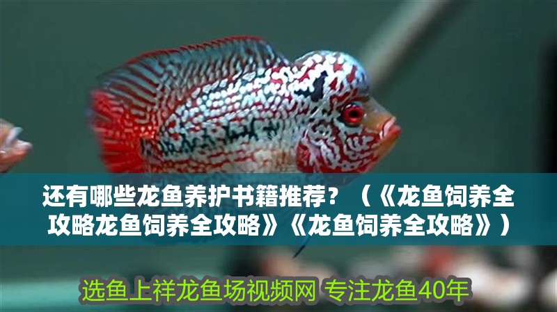 還有哪些龍魚養護書籍推薦？（《龍魚飼養全攻略龍魚飼養全攻略》《龍魚飼養全攻略》）